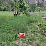 Ecopark Sadzhaka Kemping *