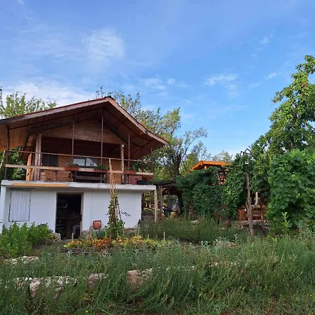 Ecopark Sadzhaka キャンプ場
