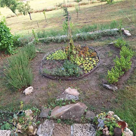 Kemping Ecopark Sadzhaka *