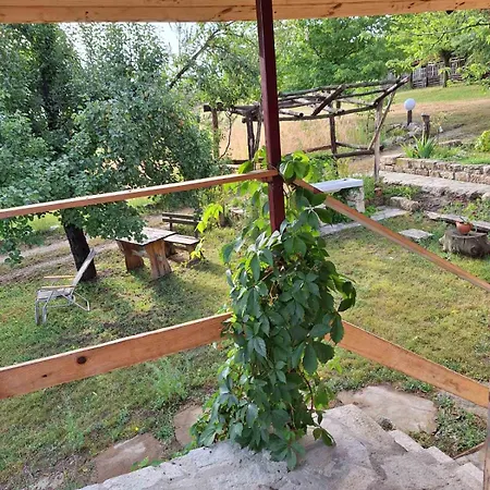 Ecopark Sadzhaka Kamp alanı *