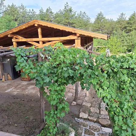 Campeggio Ecopark Sadzhaka