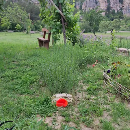 Ecopark Sadzhaka Kamp alanı *