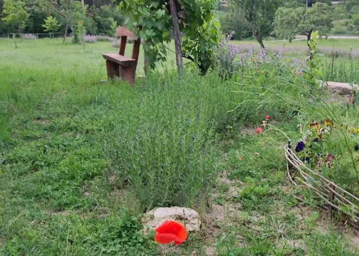 Ecopark Sadzhaka Къмпинг *